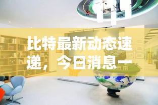 比特最新动态速递，今日消息一网打尽！