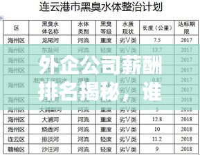 外企公司薪酬排名揭秘，谁坐薪酬之巅？
