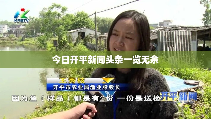 今日开平新闻头条一览无余