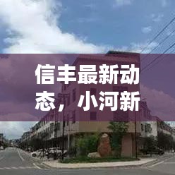 信丰最新动态，小河新闻尽收眼底