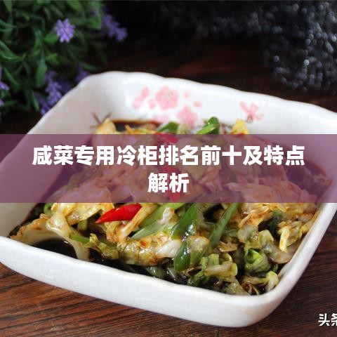 咸菜专用冷柜排名前十及特点解析