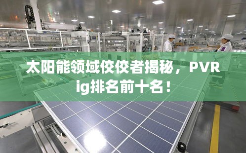 太阳能领域佼佼者揭秘，PVRig排名前十名！
