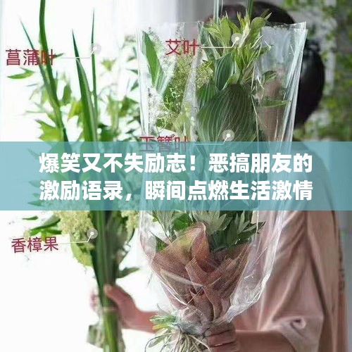 爆笑又不失励志！恶搞朋友的激励语录，瞬间点燃生活激情！