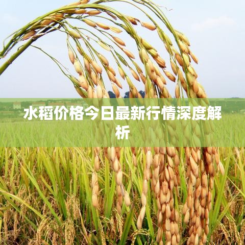 设备展示 第4页
