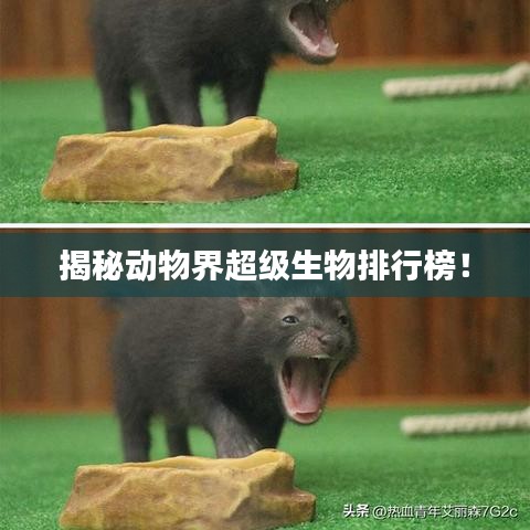 公司简介 第3页
