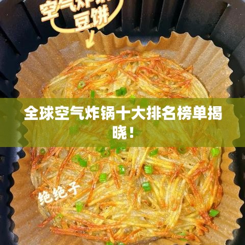 全球空气炸锅十大排名榜单揭晓！