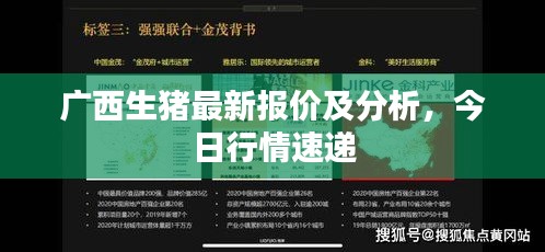广西生猪最新报价及分析，今日行情速递