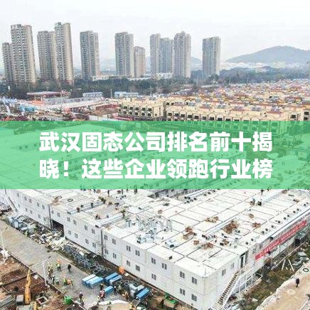 武汉固态公司排名前十揭晓！这些企业领跑行业榜单