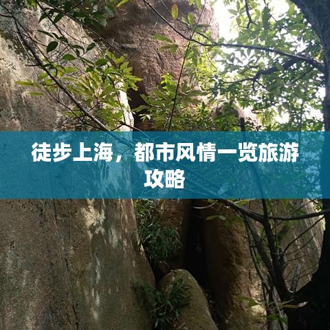 徒步上海，都市风情一览旅游攻略