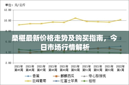 桑椹最新价格走势及购买指南，今日市场行情解析