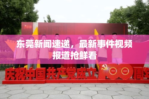 东莞新闻速递，最新事件视频报道抢鲜看
