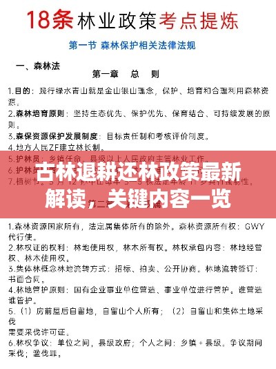 古林退耕还林政策最新解读，关键内容一览