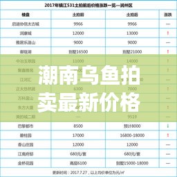 潮南乌鱼拍卖最新价格动态揭秘