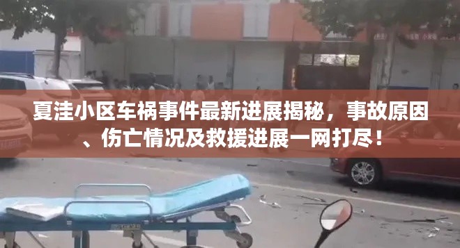 夏洼小区车祸事件最新进展揭秘，事故原因、伤亡情况及救援进展一网打尽！