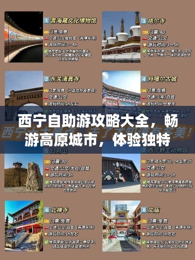 西宁自助游攻略大全，畅游高原城市，体验独特风情！