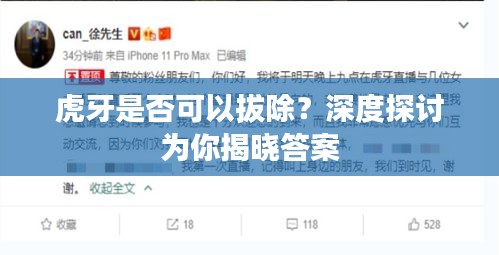 虎牙是否可以拔除？深度探讨为你揭晓答案