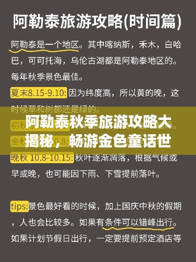 阿勒泰秋季旅游攻略大揭秘，畅游金色童话世界