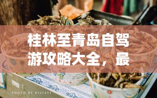 桂林至青岛自驾游攻略大全，最新路线、住宿、美食一网打尽！