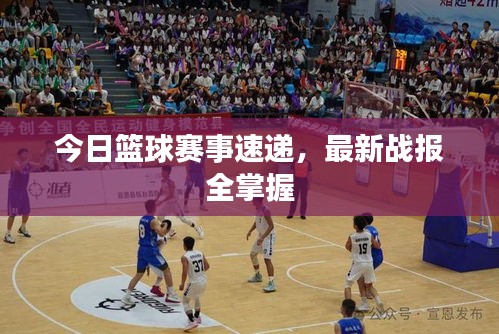 今日篮球赛事速递，最新战报全掌握