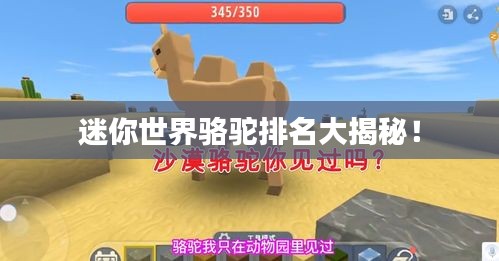 迷你世界骆驼排名大揭秘！