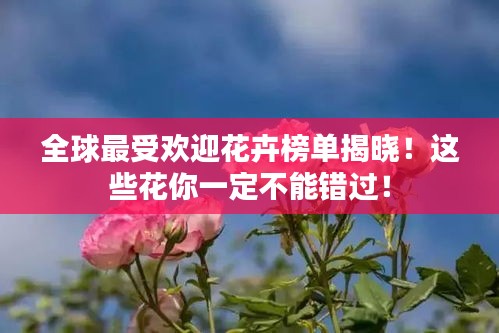全球最受欢迎花卉榜单揭晓！这些花你一定不能错过！