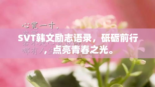SVT韩文励志语录，砥砺前行，点亮青春之光。