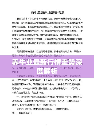 养牛业最新行情走势深度解析