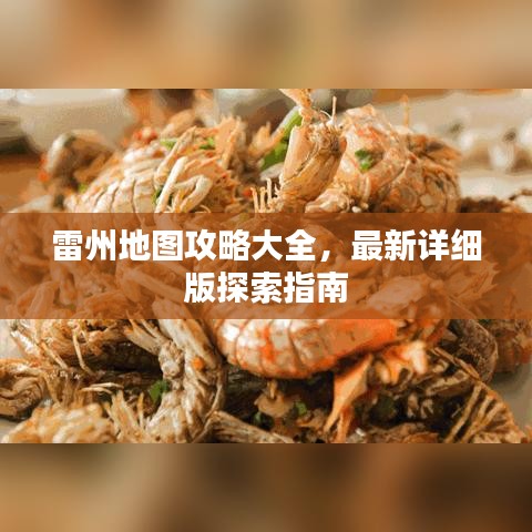 雷州地图攻略大全，最新详细版探索指南