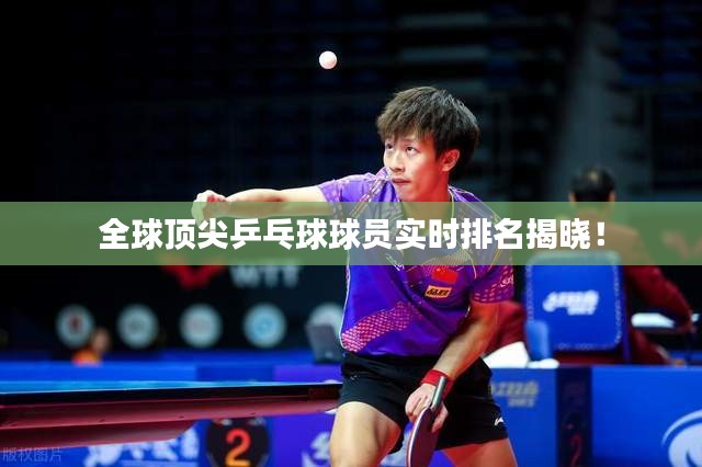 全球顶尖乒乓球球员实时排名揭晓！