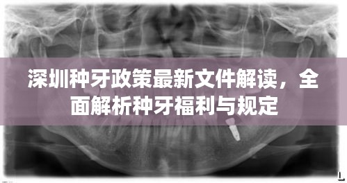 深圳种牙政策最新文件解读，全面解析种牙福利与规定