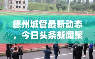 德州城管最新动态，今日头条新闻聚焦城市管理