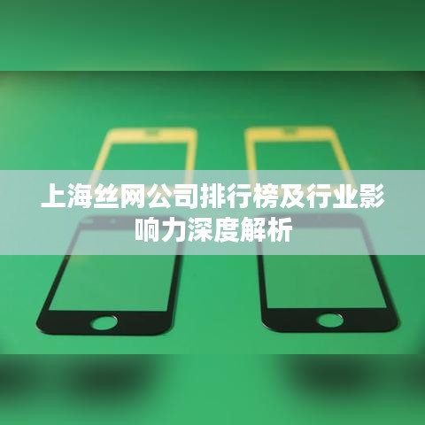 上海丝网公司排行榜及行业影响力深度解析