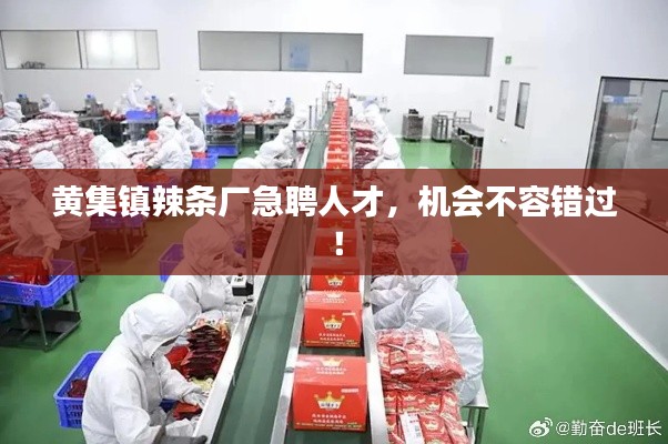 黄集镇辣条厂急聘人才，机会不容错过！