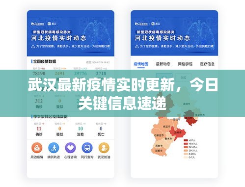 武汉最新疫情实时更新，今日关键信息速递