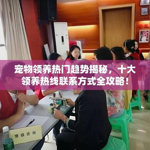 宠物领养热门趋势揭秘，十大领养热线联系方式全攻略！