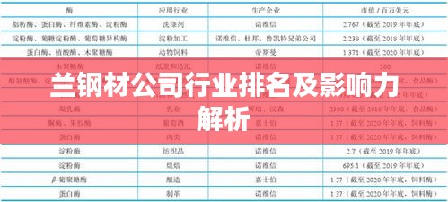 兰钢材公司行业排名及影响力解析