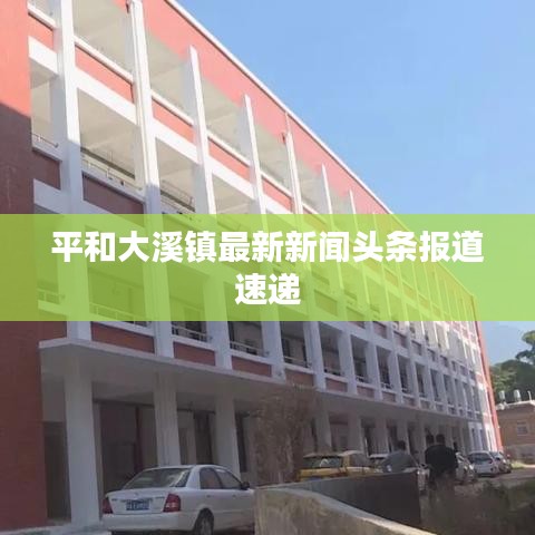 平和大溪镇最新新闻头条报道速递