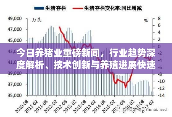 今日养猪业重磅新闻，行业趋势深度解析、技术创新与养殖进展快速更新