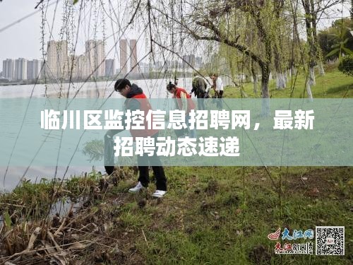 临川区监控信息招聘网，最新招聘动态速递