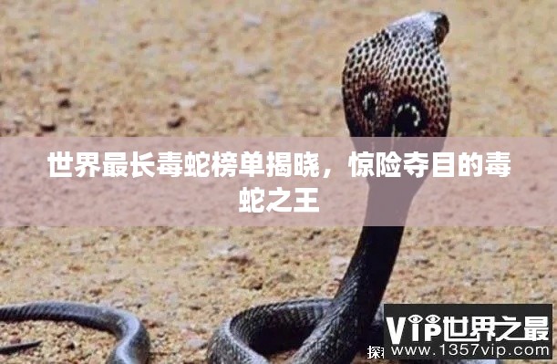 世界最长毒蛇榜单揭晓，惊险夺目的毒蛇之王