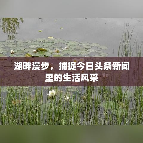 湖畔漫步，捕捉今日头条新闻里的生活风采