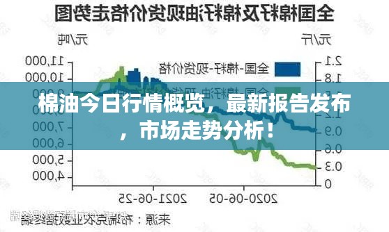棉油今日行情概览，最新报告发布，市场走势分析！