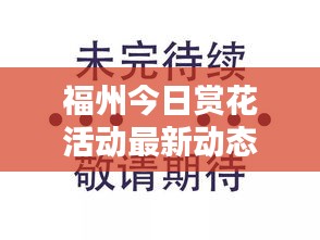 2025年5月20日