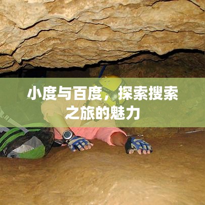 小度与百度，探索搜索之旅的魅力