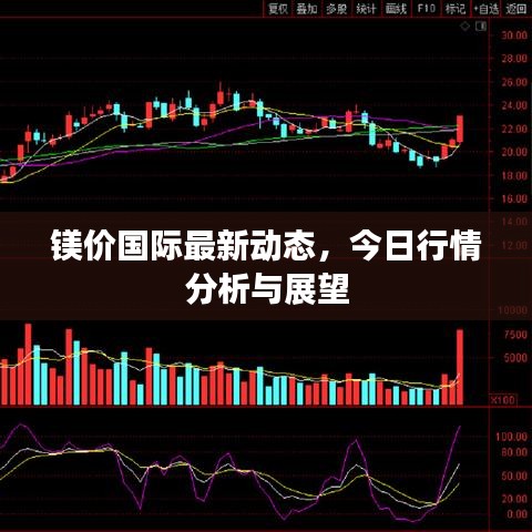 镁价国际最新动态，今日行情分析与展望
