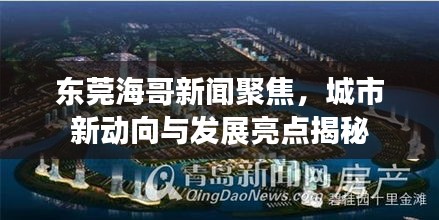 东莞海哥新闻聚焦，城市新动向与发展亮点揭秘