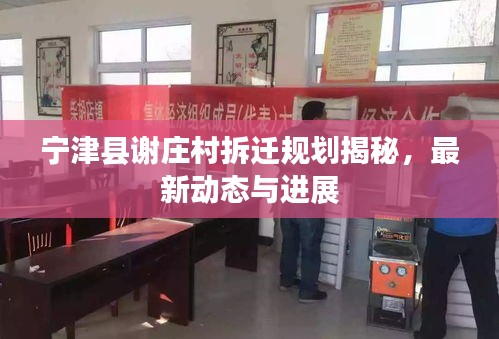 宁津县谢庄村拆迁规划揭秘，最新动态与进展