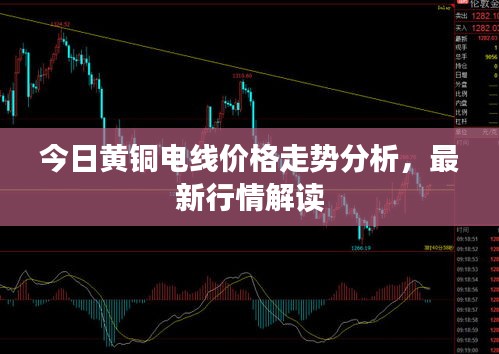 今日黄铜电线价格走势分析，最新行情解读