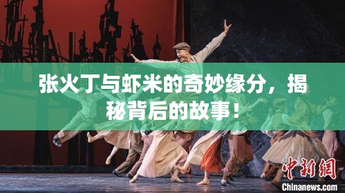 2025年5月28日 第4页