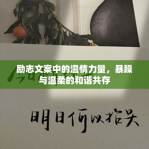 励志文案中的温情力量，暴躁与温柔的和谐共存